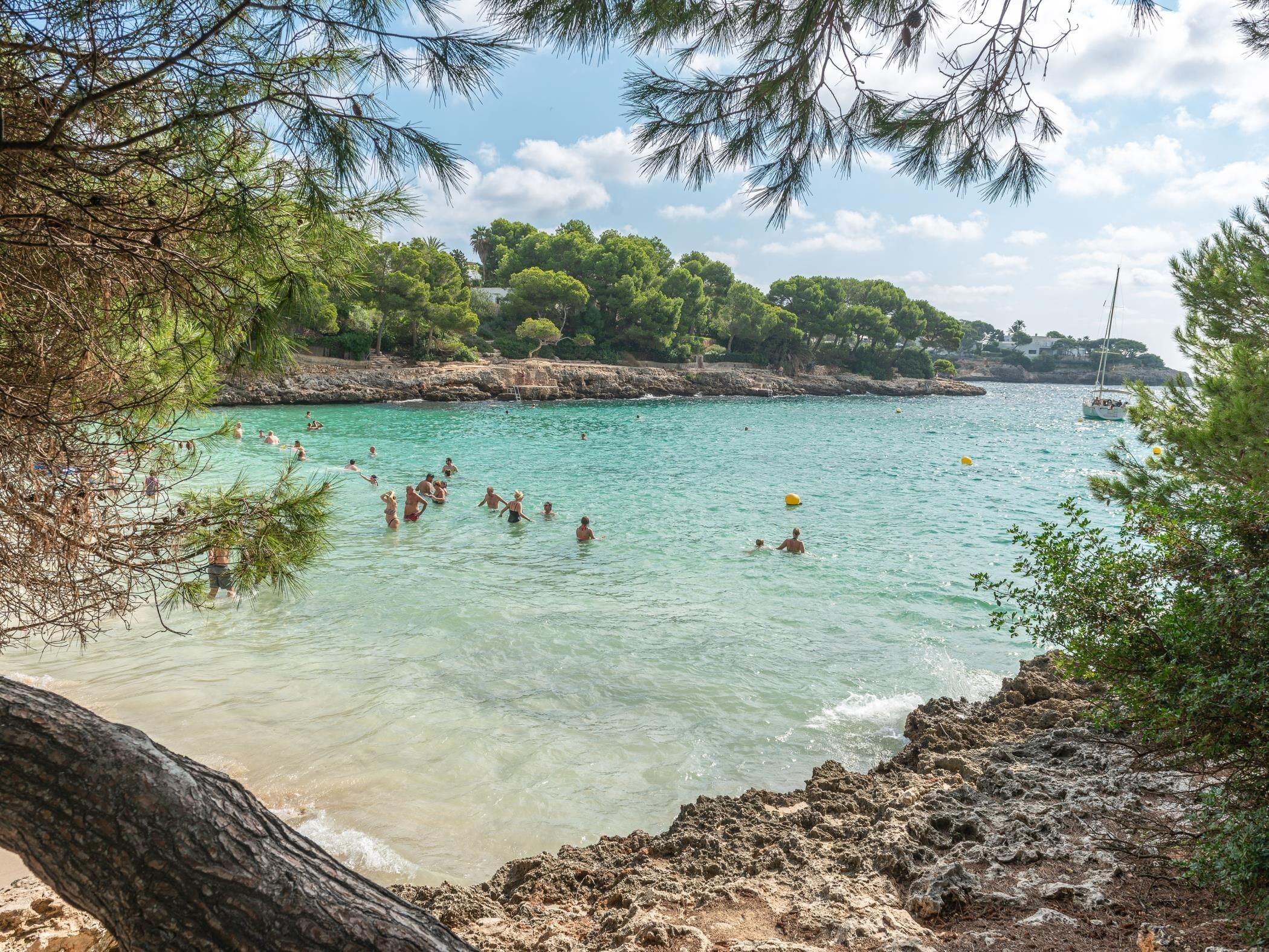Escena de playa costera con agua turquesa cristalina, costa rocosa y árboles verdes frondosos.