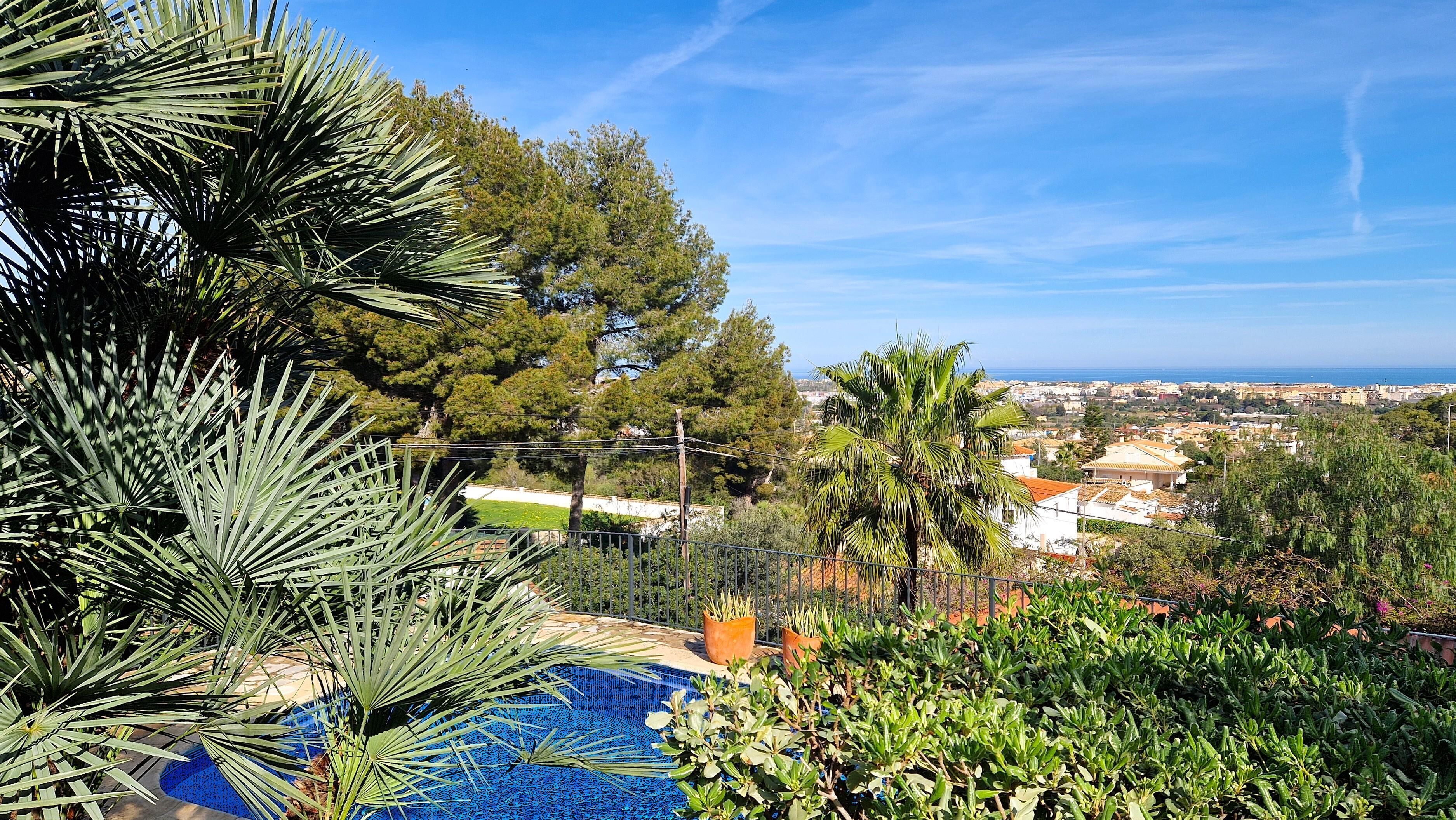 A pool surrounded by lush greenery, overlooking a coastal town.