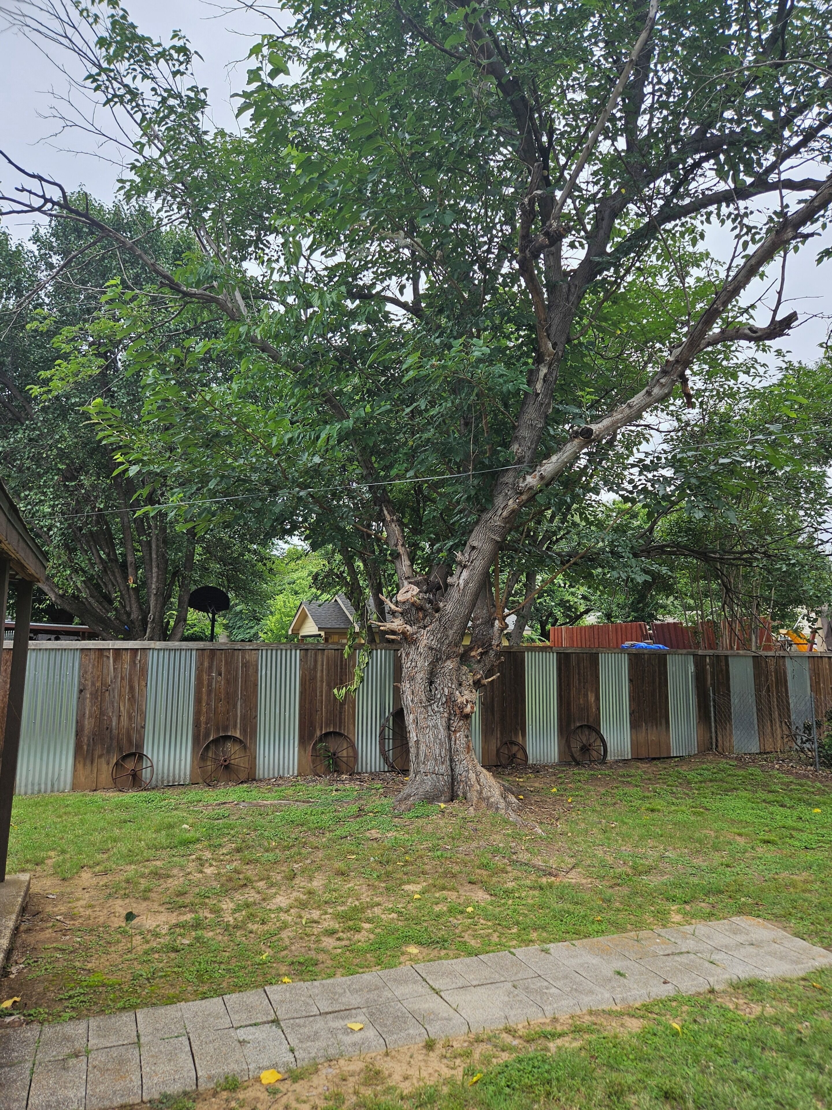 Property grounds