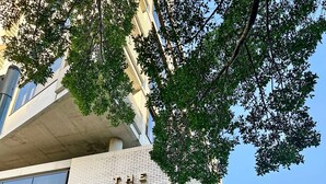 Un hotel chiamato 'The Callie', con una moderna facciata in mattoni, ampie finestre e un ingresso ben visibile.