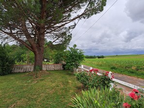 Ländliche Landschaft mit einem großen Baum, einer Betonmauer und einem Feld.