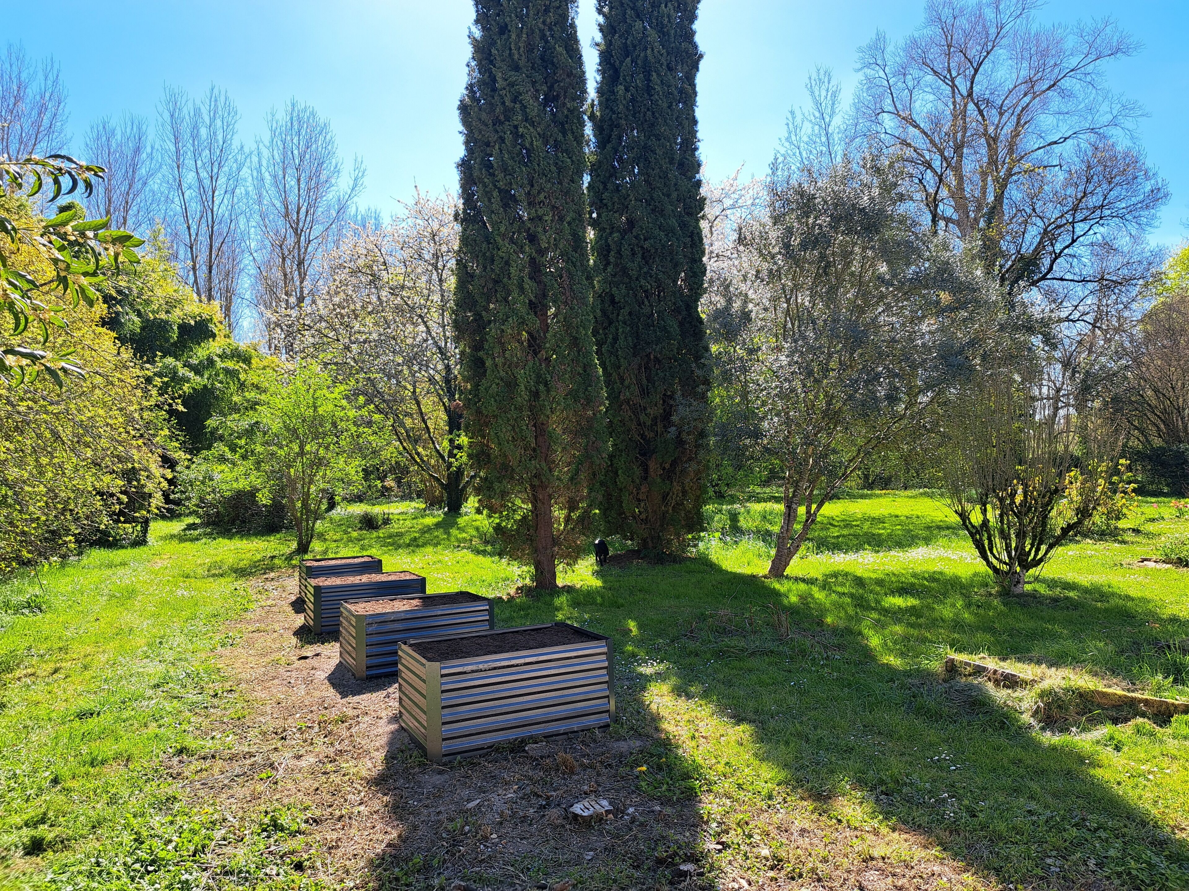 Un jardin avec des arbres, de la pelouse et des jardinières en bois.