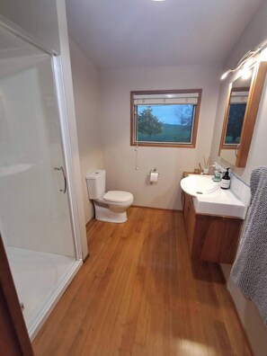 Shower - Spacious 5 Bedroom House in Ngāhinapōuri Family Retreat (Ngāhinapōuri)