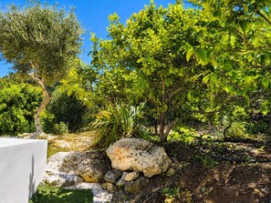 Property grounds - Fragkios Archontiko, 12 min to beach 2BD 4PL 1BA (Champatha)