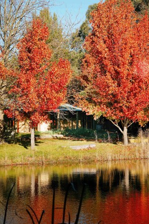 A tranquil outdoor setting with a pond, trees with autumn foliage, and a building with a green roof.