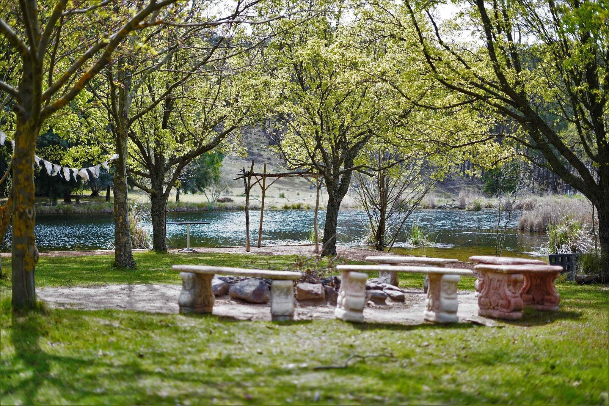 Un espacio al aire libre tranquilo con bancos de piedra y un estanque.