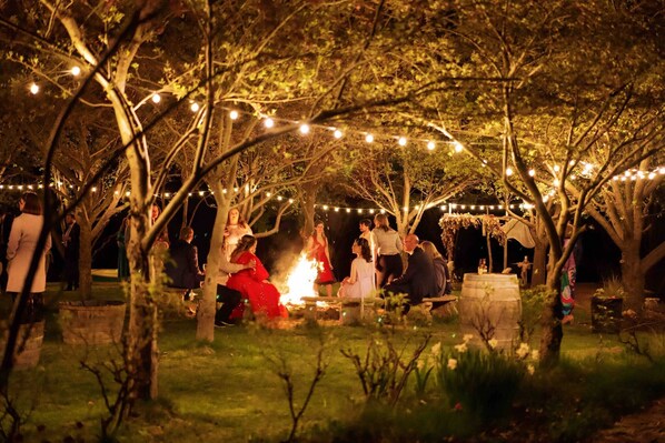 An outdoor gathering with people seated around a campfire, surrounded by trees and string lights.