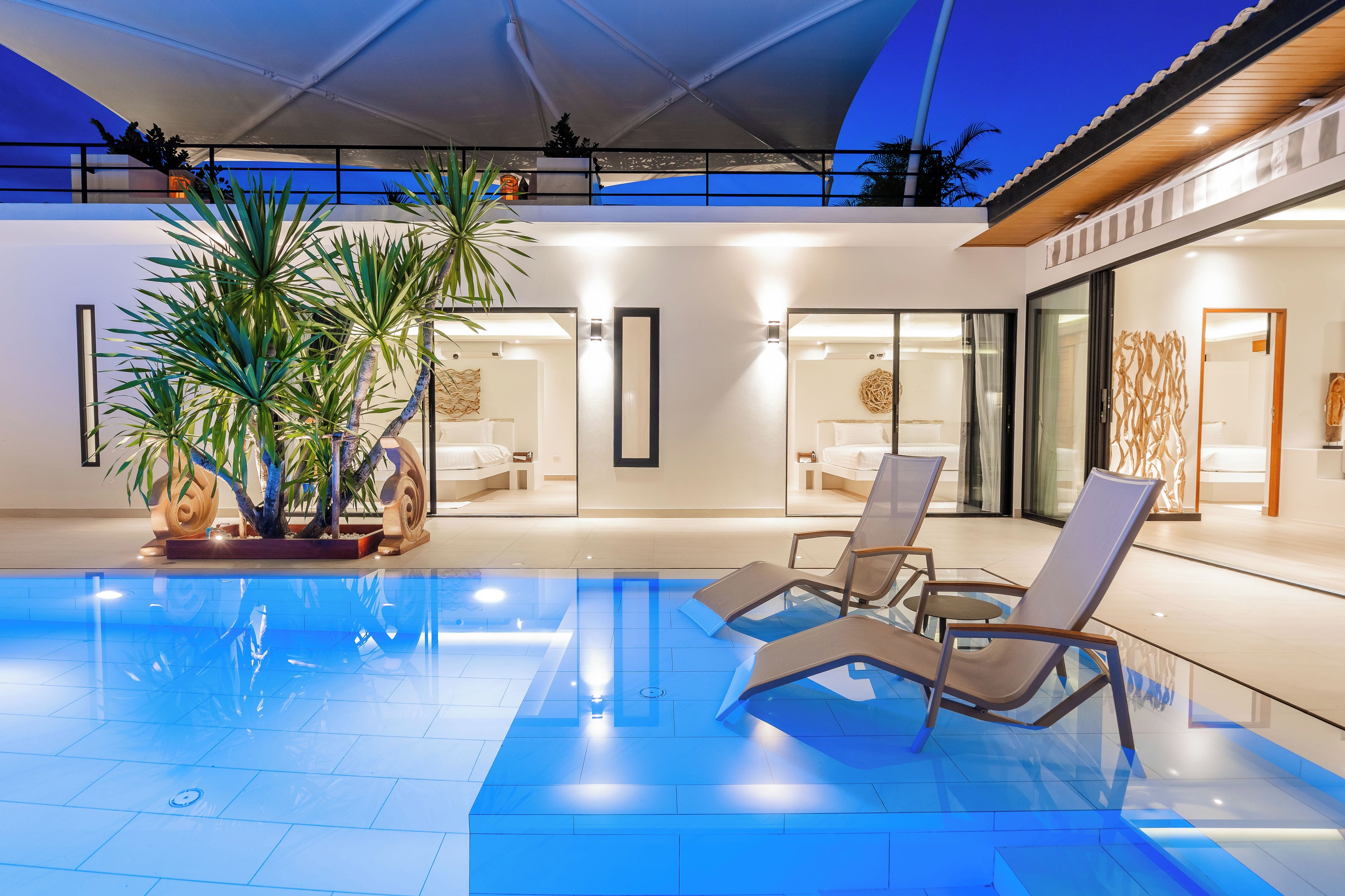 Ett modernt poolområde med solstolar och en stor krukväxt.