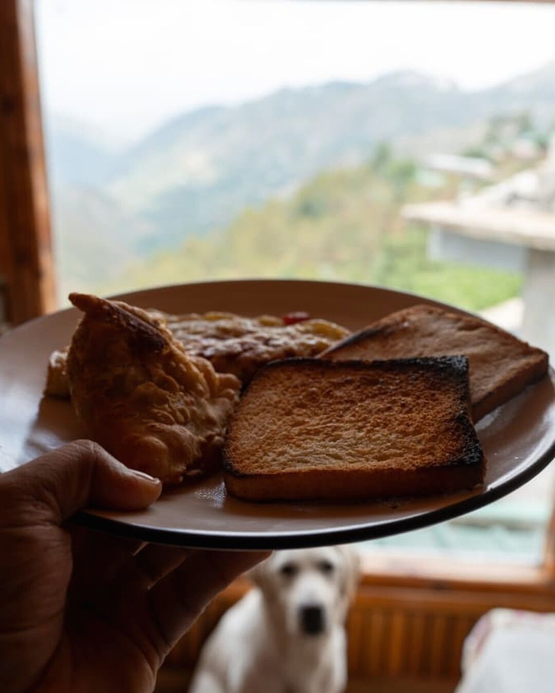 Repas de petit déjeuner