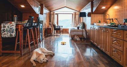 The Front Seat — A golf view attic