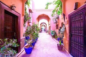 A narrow alleyway with potted plants, a wooden door with the number 37, and a metal gate.