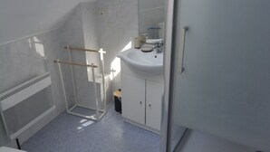 A bathroom with a skylight, a shower, a toilet, and a sink.