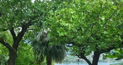 La Collinetta, an oasis of peace where pets are also welcome