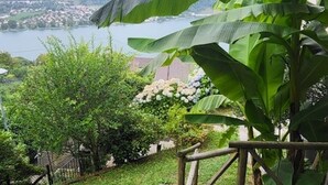 En have med stentrappe, en stor bananplante og udsigt til sø og bjerge.