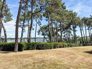Ein grasbewachsenes Gelände mit hohen Kiefern und Blick auf einen Yachthafen mit Booten.