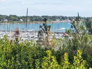 Een jachthaven met veel liggende boten, omgeven door groen en een kustplaats op de achtergrond.
