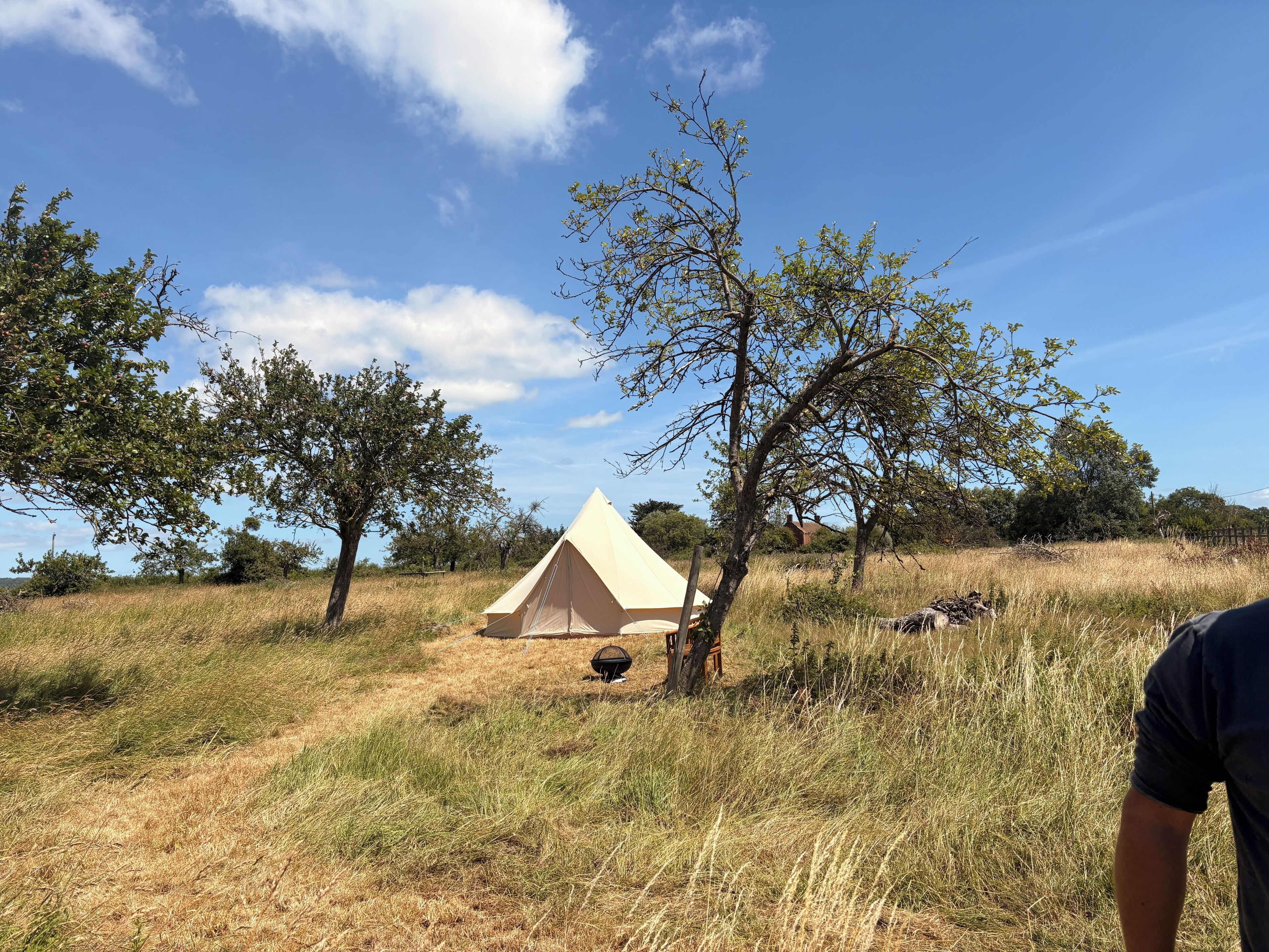 A tent in a grassy field with trees around.