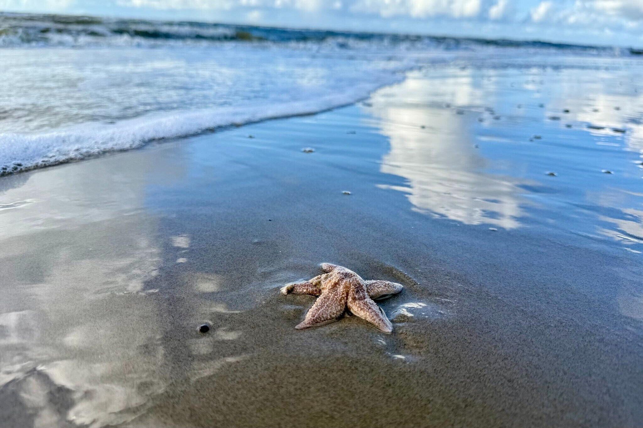 In Strandnähe