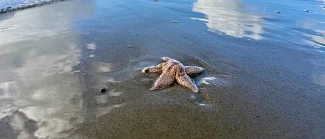 Una playa cerca