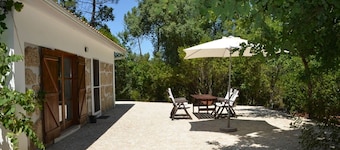 Private cottage with river access in central Portugal