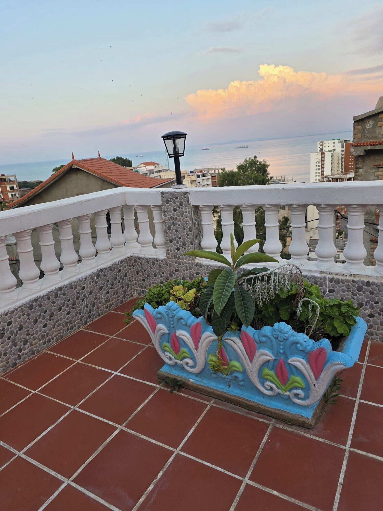 Een dak terras met een decoratieve plantenbak, een witte balustrade en uitzicht op zee en gebouwen op de achtergrond.