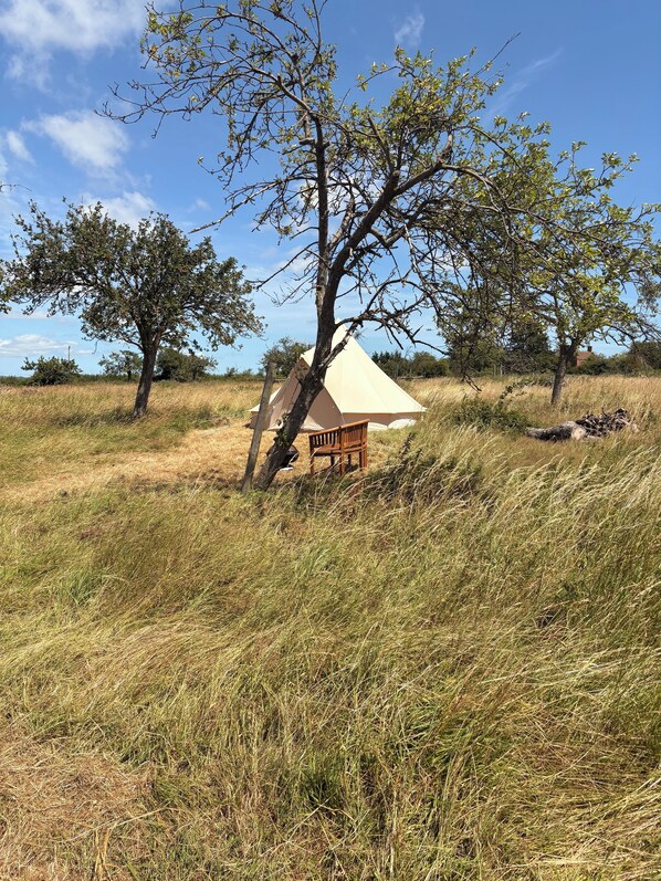 Miscellaneous - Stunning Bell tent, The cosmic crisp. Set in the Somerset countryside (West Pennard)