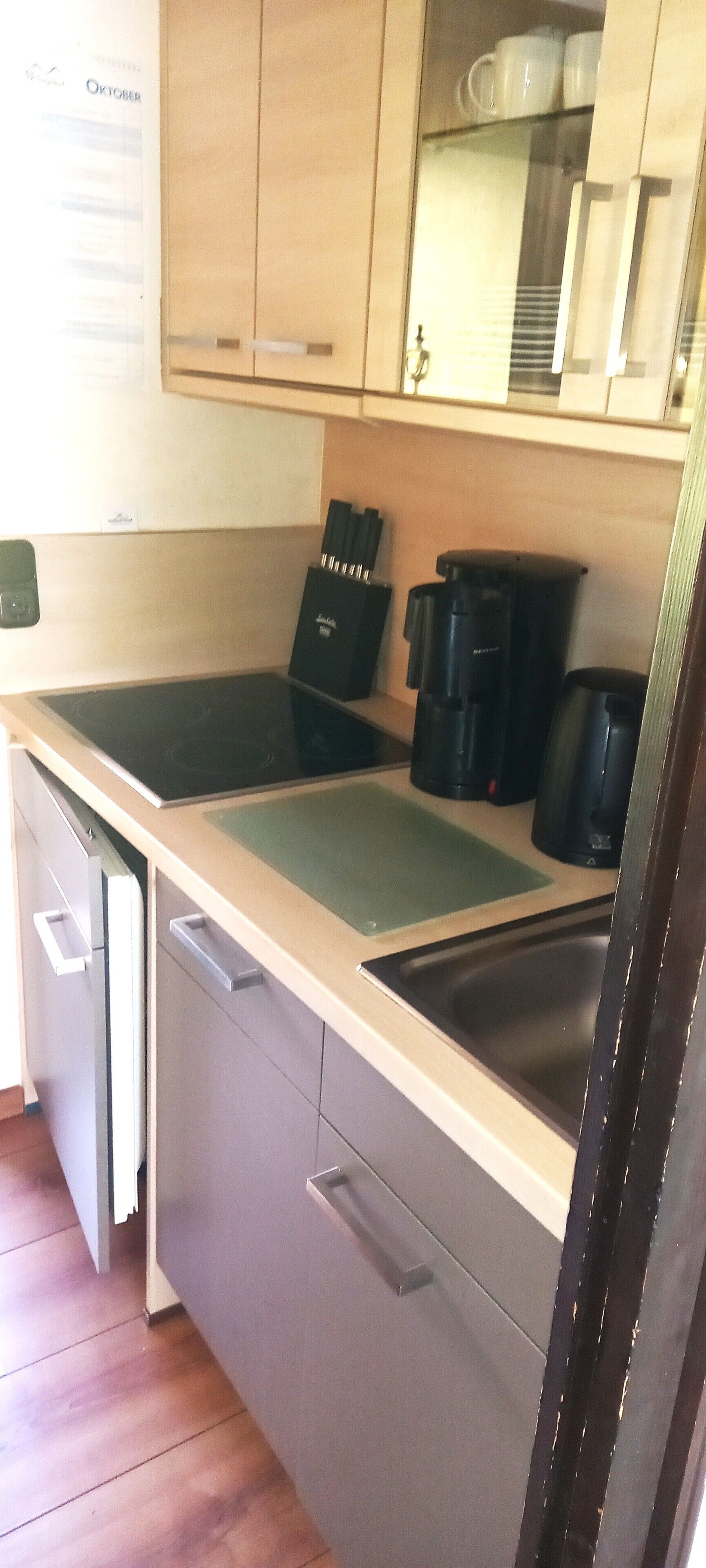 Kühlschrank, Mikrowelle, Herdplatte, Geschirrspüler