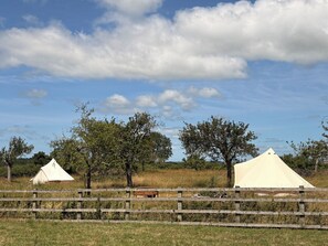 Property grounds - The Spartan- Bell tent set in the stunning Somerset countryside ( unfurnished ) (West Pennard)