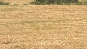 Eine hügelige Landschaft, im Hintergrund ein markanter Hügel und im Vordergrund ein ebenes Feld.