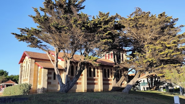 Un edificio con techo de tejas rojas, ventanas en arco y un gran árbol en la fachada.