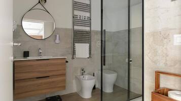 Shower, hair dryer, bidet, towels