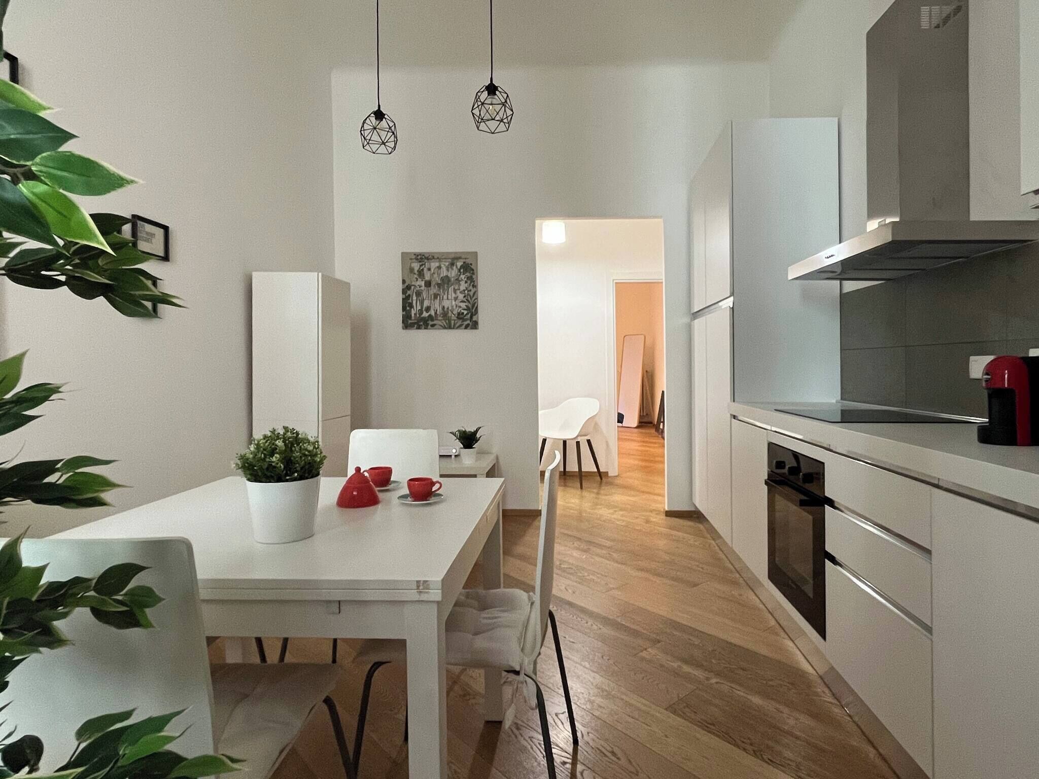Fridge, oven, stovetop, electric kettle