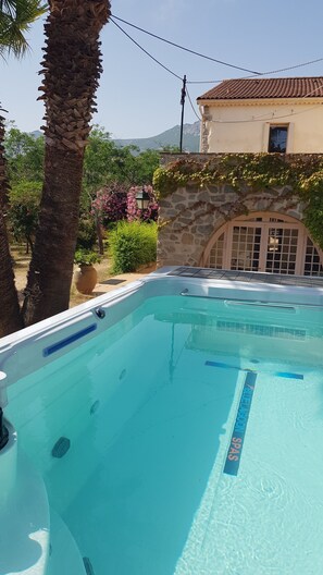 Una piscina con acqua cristallina e blu, circondata da un muro in pietra e una palma.