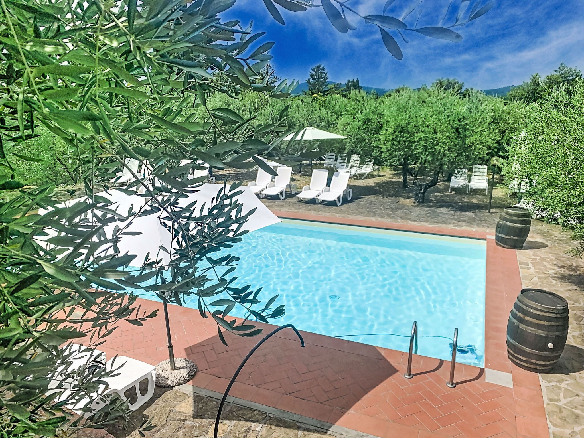 A swimming pool with lounge chairs, surrounded by greenery and a clear sky.