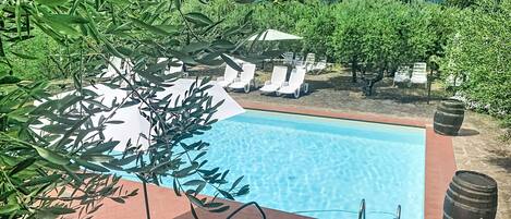 A swimming pool with lounge chairs, surrounded by greenery and a clear sky.