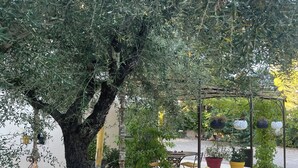 A patio area with a tree, a swing set, and a lounge chair. - A haven of peace (Néoules)