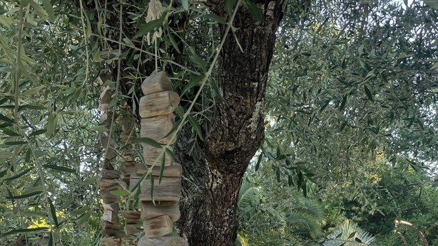 A tree with a stone spiral structure, a pool, and a statue. - A haven of peace (Néoules)