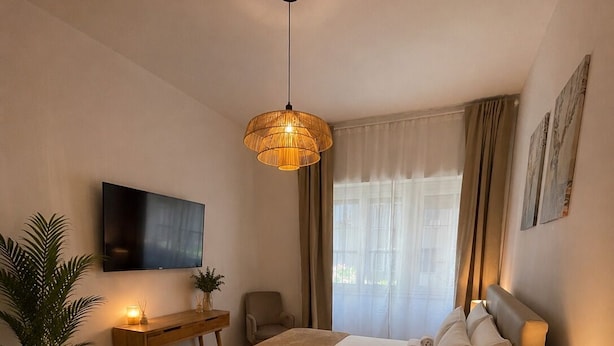 Ein Schlafzimmer mit Bett, Nachttisch, Lampe, Fernseher, Schreibtisch, Stuhl, Zimmerpflanze und einem Fenster mit Vorhängen.