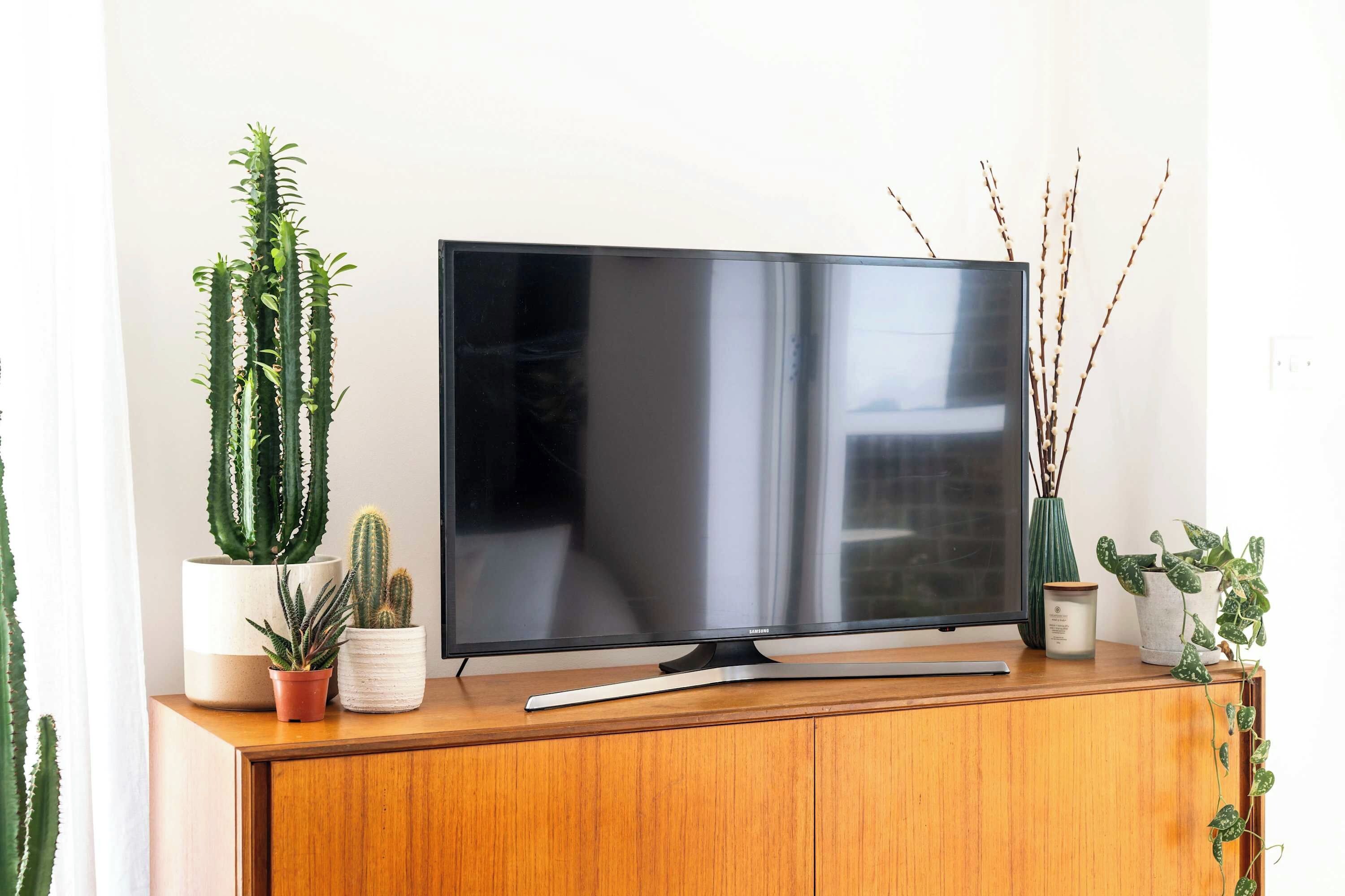Un televisor de pantalla plana sobre un mueble de madera con varias plantas en macetas.