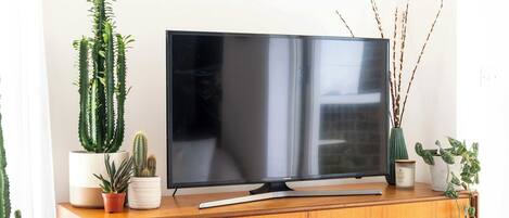 Un televisor de pantalla plana sobre un mueble de madera con varias plantas en macetas.
