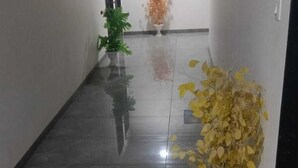 Un pasillo con piso de baldosas, una planta en maceta y una puerta al final.