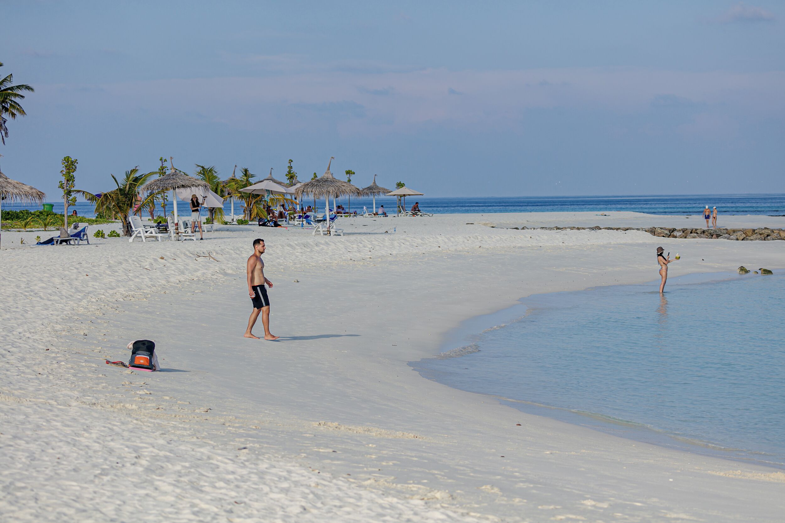 A beach with clear skies, palm trees, and a few people.