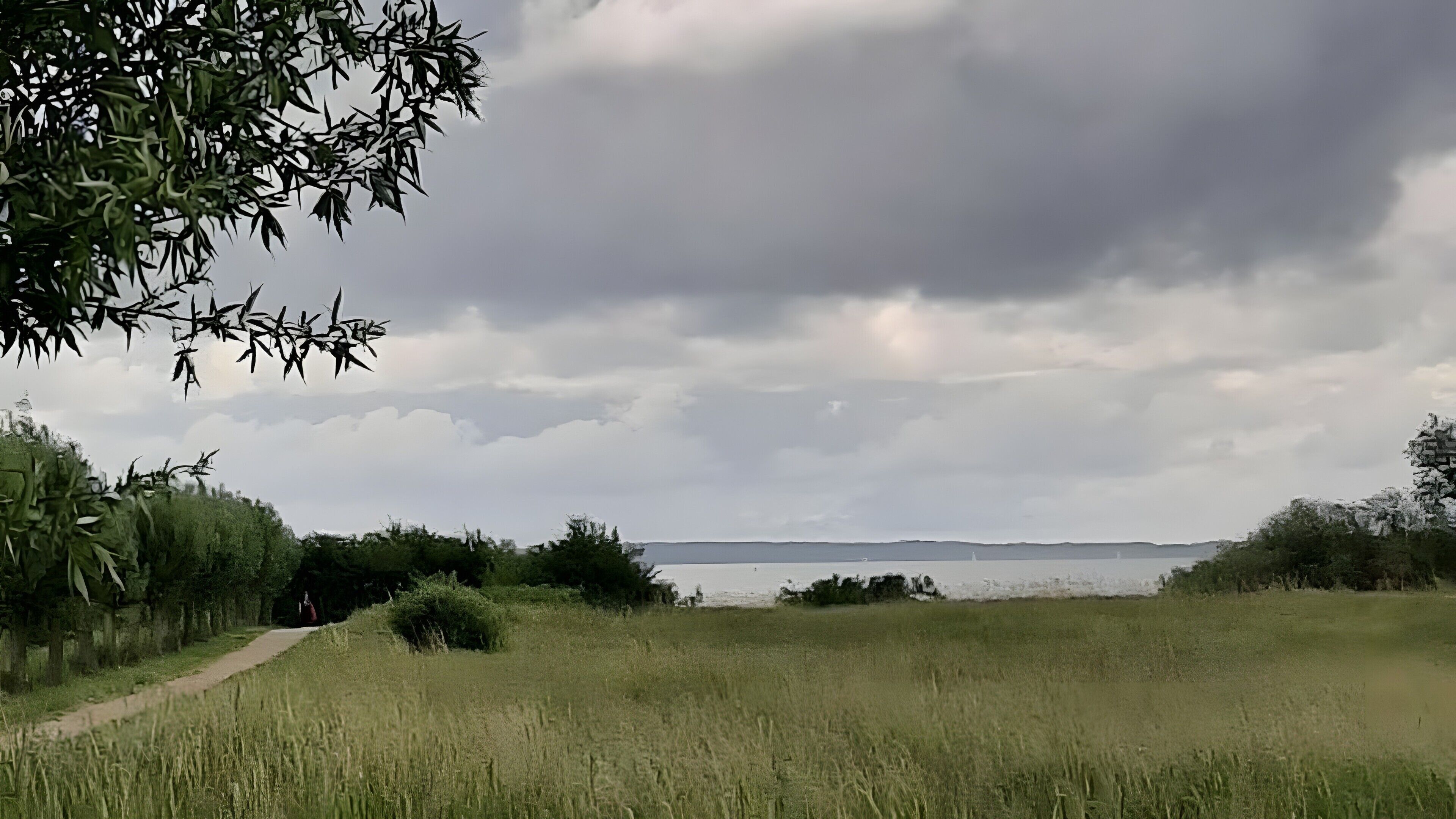 A grassy field with a path leading to a body of water, surrounded by trees and a cloudy sky.