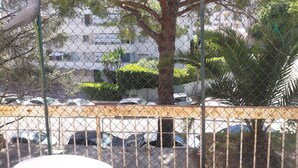 A chain-link fence with a tree and parked cars behind it. - 2-room apartment with a terrace (Cannes)