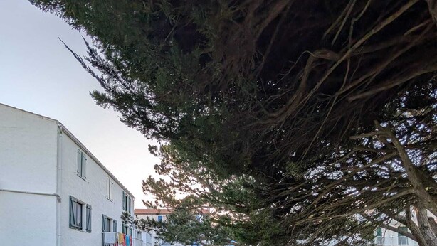 Un sendero que lleva a un edificio, con una fila de bicicletas estacionadas al lado.