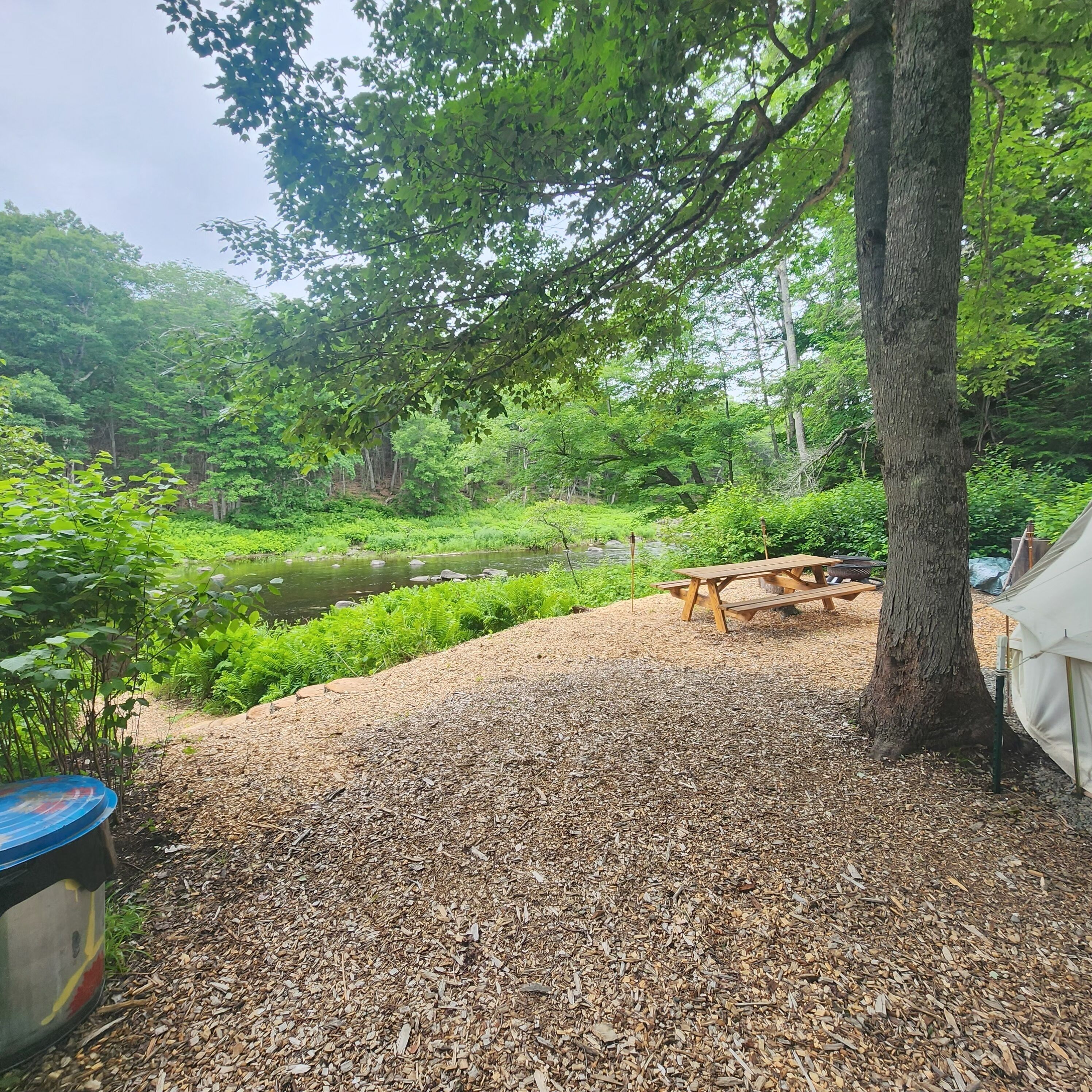A campsite with a picnic table, a tent, and a pond surrounded by dense greenery.