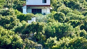 Una casa sul mare con tetto rosso, circondata da vegetazione lussureggiante e costa rocciosa.