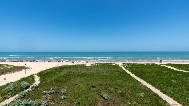 Una playa con cielo despejado, orilla de arena y vegetación verde.