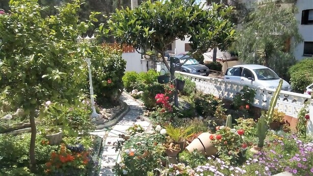 Ein Garten mit verschiedenen Pflanzen und Blumen, einem gepflasterten Weg und abgestellten Autos.