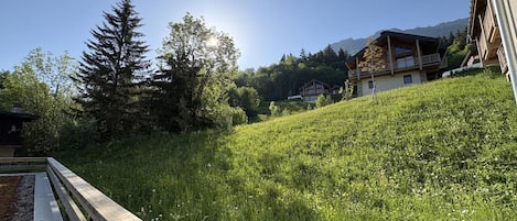 Ulkoalueet